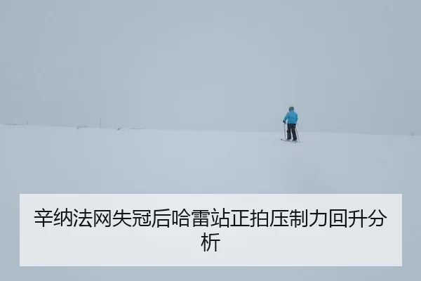 辛纳法网失冠后哈雷站正拍压制力回升分析